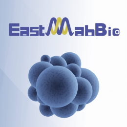 Рекомбинантные белки от китайского производителя EastMab