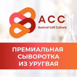 Новинка в каталоге «ПанЭко» – эмбриональная телячья сыворотка ACC Premium