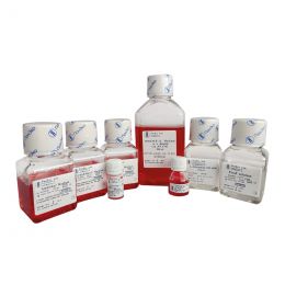 30-я международная выставка Expomed Eurasia