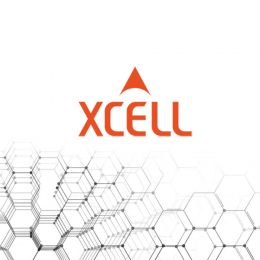 Поступление от производителя Xcell!