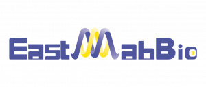 EastMab