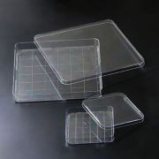 Чашки Петри квадратные 125×125×20 мм Чашки Петри квадратные 125×125×20 мм