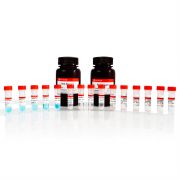 Набор реагентов для количественного определения белка методом BCA, 1000 реакций, ServiceBio РАСПРОДАЖА!