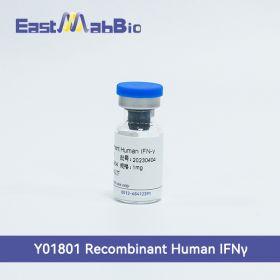 Рекомбинантный белок человека (IFN-γ), 1 мг, EastMab