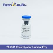 Рекомбинантный белок человека (IFN-γ), 50 мкг, EastMab Рекомбинантный белок человека (IFN-γ), 50 мкг, EastMab