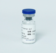Рекомбинантный белок человека SCF, 50 мкг, EastMab Рекомбинантный белок человека SCF, 50 мкг, EastMab