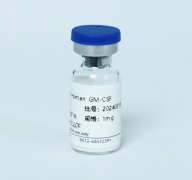 Рекомбинантный белок человека GM-CSF, 10 мкг, EastMab Рекомбинантный белок человека GM-CSF, 10 мкг, EastMab