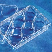 Планшет культуральный 6-луночный Планшет культуральный 6-луночный