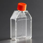 Флакон культуральный 25 см² Флакон культуральный 25 см²