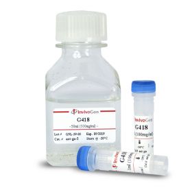 Генетицин G418 (Geneticin), 2 г