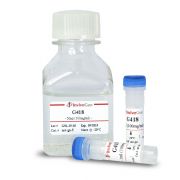 Генетицин G418 (Geneticin), 2 г Генетицин G418 (Geneticin), 2 г