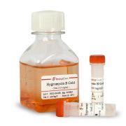 Гигромицин В Gold (Hygromycin B), 2 г Гигромицин В Gold (Hygromycin B), 2 г