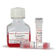 Нормоцин (Normocin), 1 г Нормоцин (Normocin), 1 г