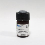 FITC -антитела к CD45 человека, 100 тестов, VDO Biotech (QuantoBio) FITC -антитела к CD45 человека, 100 тестов, VDO Biotech (QuantoBio)