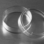 Чашки Петри 35 мм Чашки Петри 35 мм