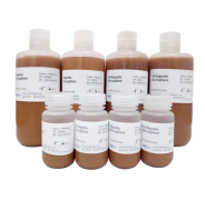 Магнитные микросферы, белок А, коричнево-желтые, 0,6 мкм, 10 мл, VDO Biotech (QuantoBio) Магнитные микросферы, белок А, коричнево-желтые, 0,6 мкм, 10 мл, VDO Biotech (QuantoBio)