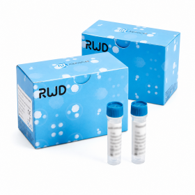 Набор для магнитной сепарации CD3+ T-клеток, человеческий, 100 тестов, RWD