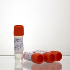 ЭКО1 Кислый раствор Тироде, без фенолового красного, с антибиотиками, 1,5 мл