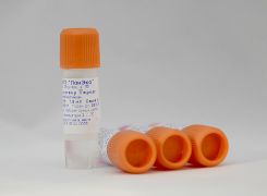 ЭКО1 Кислый раствор Тироде, без фенолового красного, без антибиотиков, 1,5 мл ЭКО1 Кислый раствор Тироде, без фенолового красного, без антибиотиков, 1,5 мл