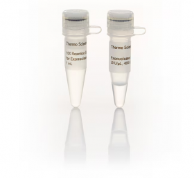 Экзонуклеаза I, 20 ед./мкл, 4000 ед., Thermo Fisher Scientific