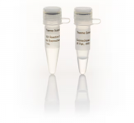 Экзонуклеаза I, 20 ед./мкл, 4000 ед., Thermo Fisher Scientific
