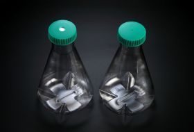 Колба Эрленмейера с отбойниками, 1000 мл, ПК, SPL