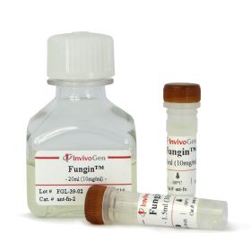 Фунгин (Fungin), 200 мг