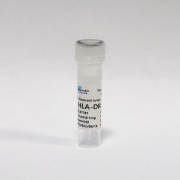 Антитела очищенные против HLA-DR человека, 0,1 мг, VDO Biotech (QuantoBio) Антитела очищенные против HLA-DR человека, 0,1 мг, VDO Biotech (QuantoBio)