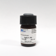 Антитела к контрольному изотипу мыши IgG1 PE, VDO Biotech (QuantoBio) Антитела к контрольному изотипу мыши IgG1 PE, VDO Biotech (QuantoBio)