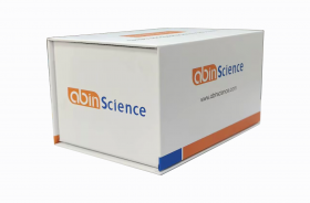 Набор для ИФА cAMP, 96 тестов, abinScience