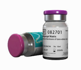 Матригенгель с низким содержанием факторов роста, 10 мл, ABW