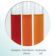 Питательная среда №3 ГРМ