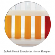 Питательная среда №6 ГРМ (определение ферментации глюкозы)