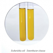Питательная среда №7 ГРМ (определение восстановления нитритов)