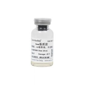 Матригенгель для органоидов и 3D-культивирования, без фенолового красного, 10 мл, Servicebio