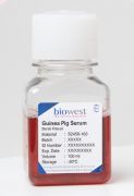 Сыворотка крови морской свинки, 500 мл, Biowest Сыворотка крови морской свинки, 500 мл, Biowest